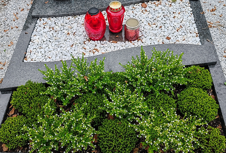 5 preprostih korakov za lepo urejen grob